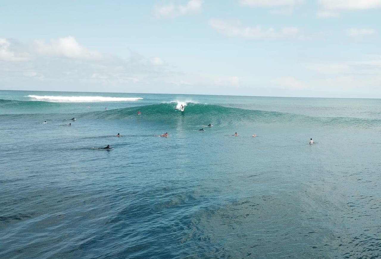 Surfing